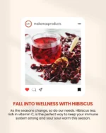 Dried Hibiscus Flower - Image 3