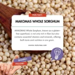 Whole Sorghum - Image 3