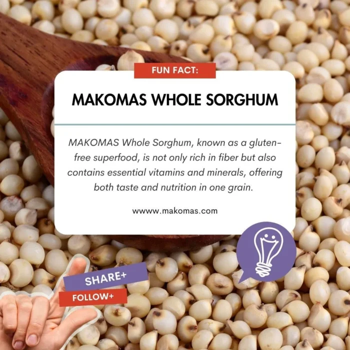Whole Sorghum - Image 3